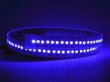   Лента светодиодная в трубке влагозащищенная IP67 SMD3528 240LED Синий