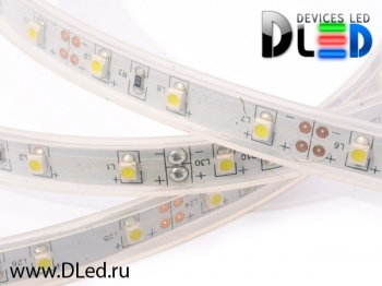   Влагоустойчивая светодиодная лента DLed IP67 SMD 3528 60 белая