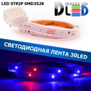   Лента светодиодная в трубке влагозащищенная IP67 SMD3528 30LED 1 красный + 2 синий