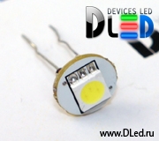   Комплект из 1 SMD 5050 с усиками